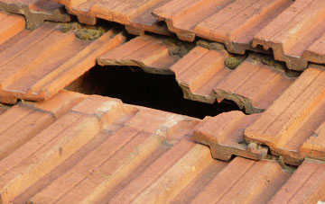 roof repair Noranside, Angus